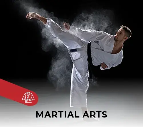 custom-martial-arts-529515-1724932941