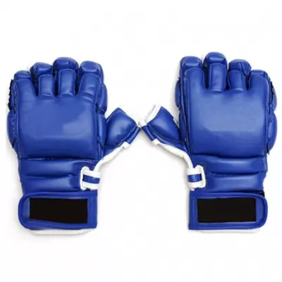 MMA Gloves